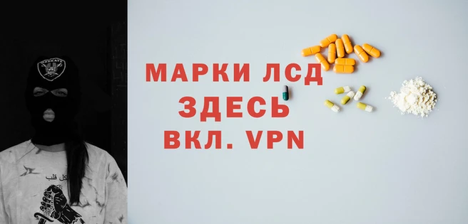 спайс Арсеньев
