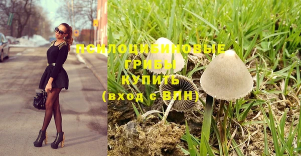 гидропоника Алзамай